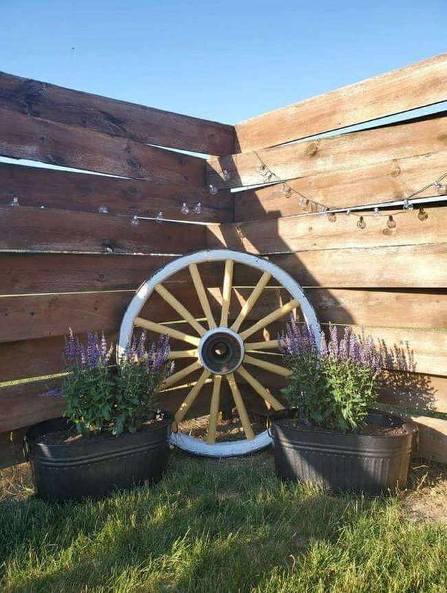 Wooden Wheel Bursting With Blooms