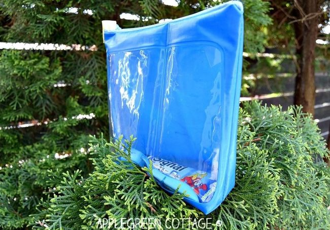 Blue Transparent Pouch Gleams