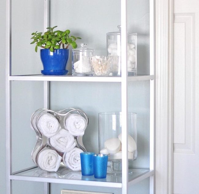 White Metal Shelves Bright Blue Plant