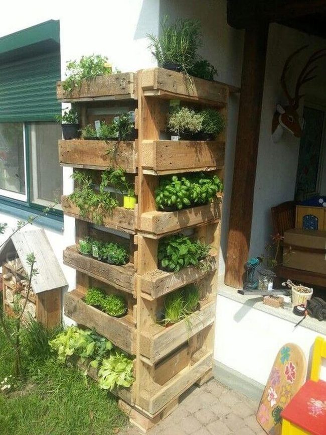 Wood Pallet Herb Garden
