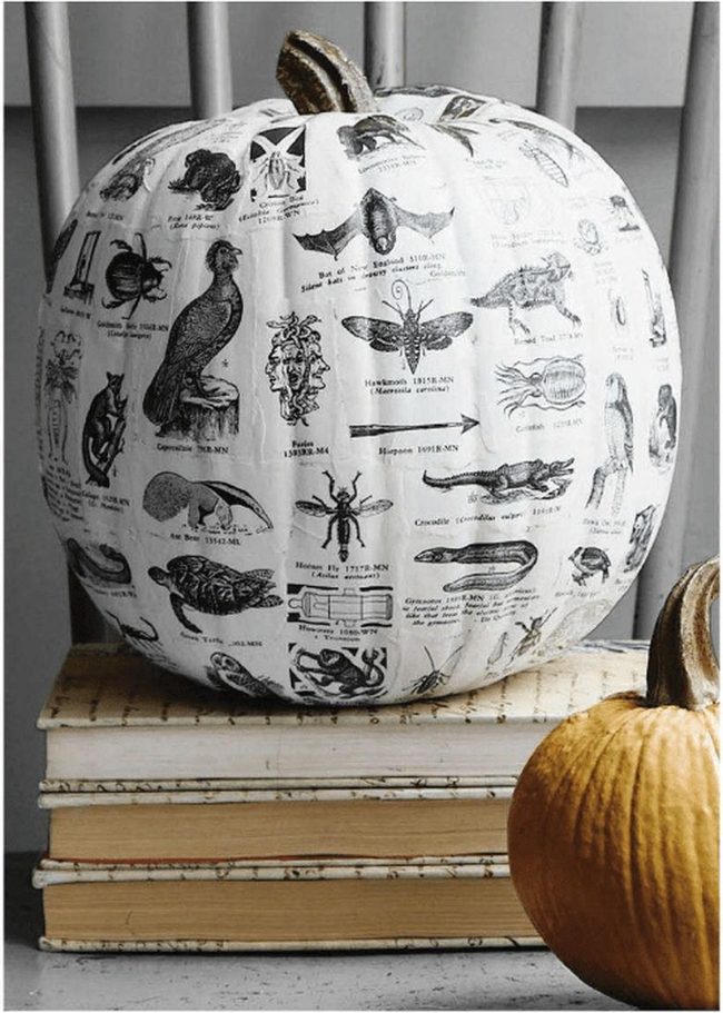 Sketched Pumpkins With Aged Books