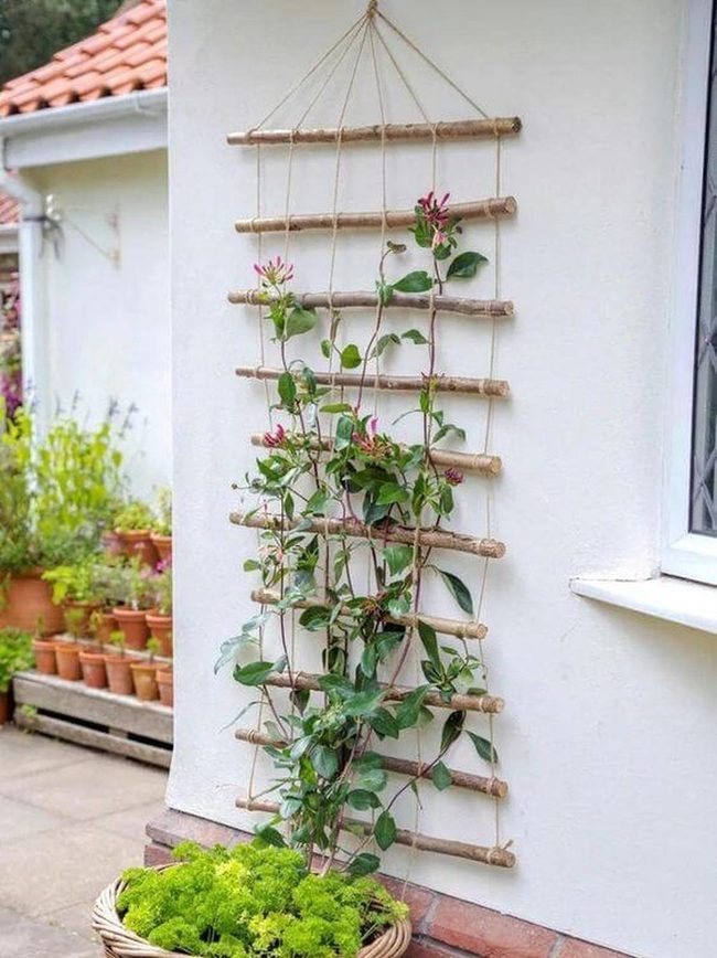Climbing Flowers Green Privacy Walls