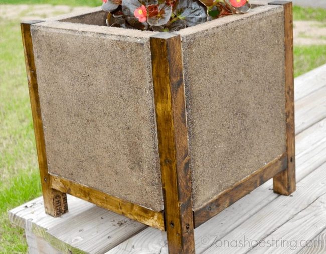 Concrete Blocks Meet Polished Wood