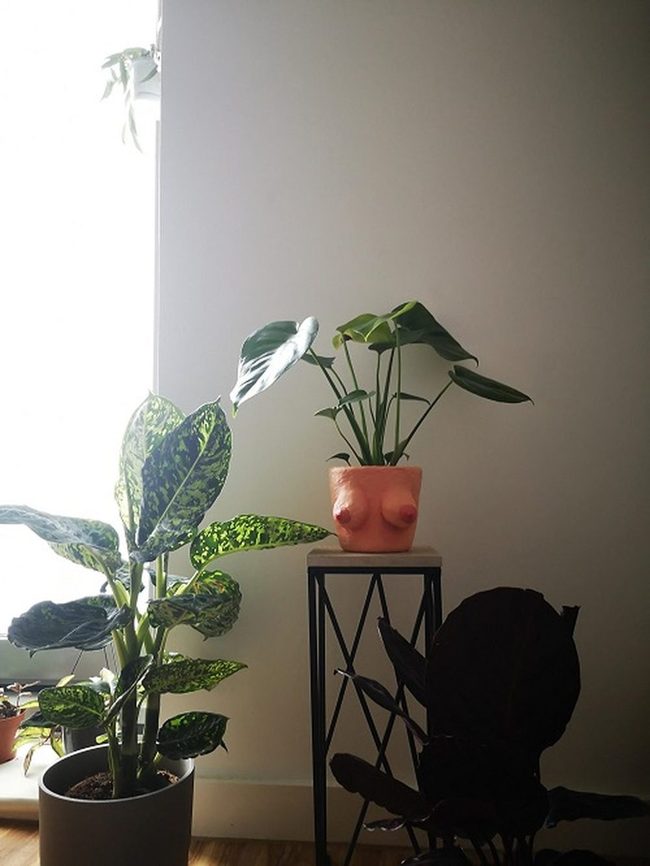 Ceramic Curves Hold Living Plants