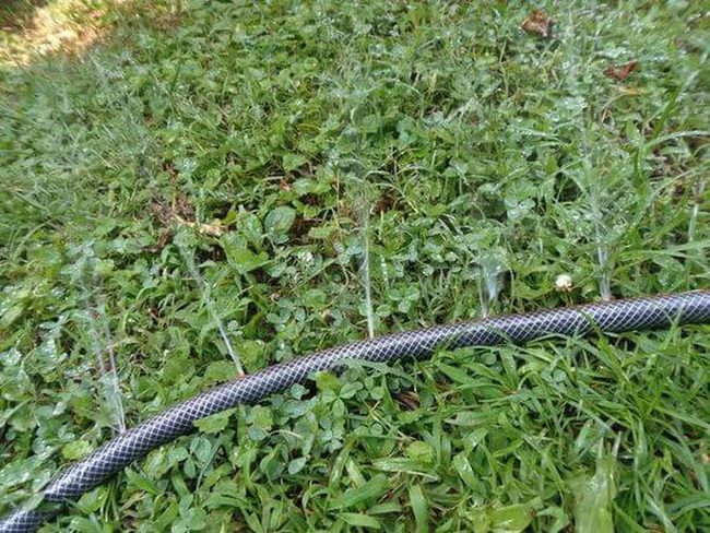 Textured Hose Gentle Watering