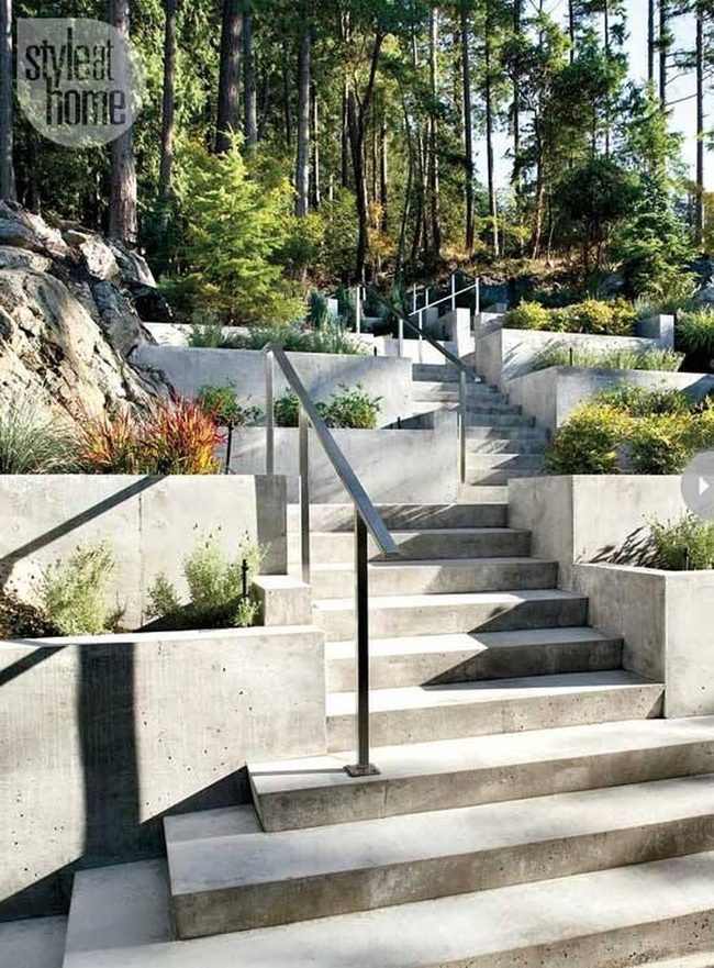 Concrete Stairs Through Green Canopy