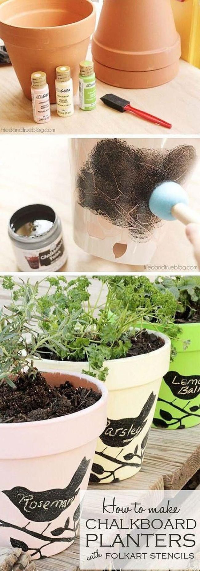 Painted Bird Herb Pots