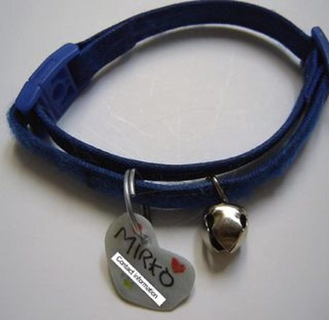 Silver Bell Blue Pet Collar