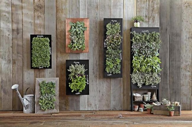 Living Green Wall Kitchen Herb