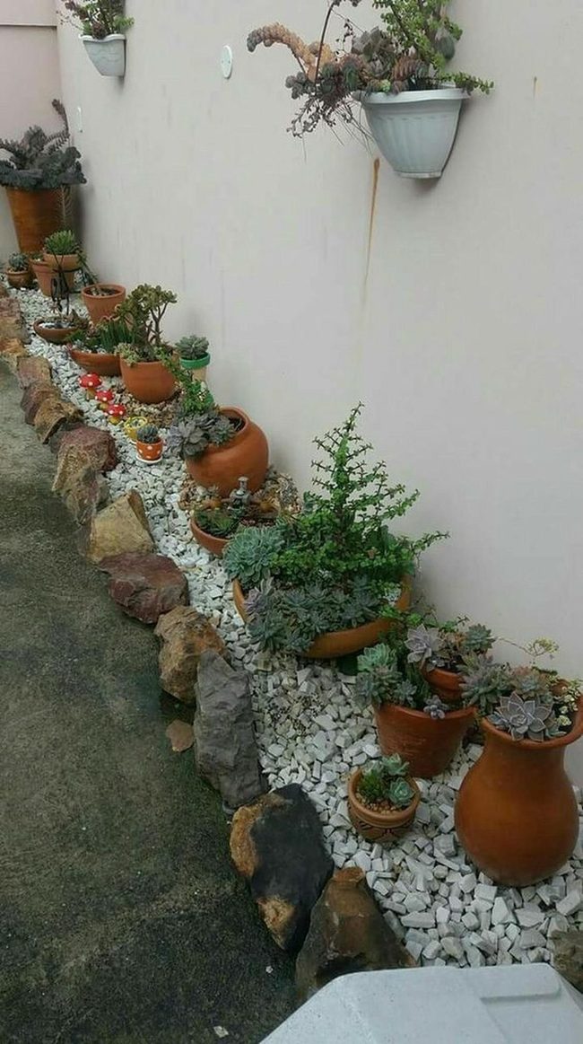 Terracotta Succulents White Pebbles