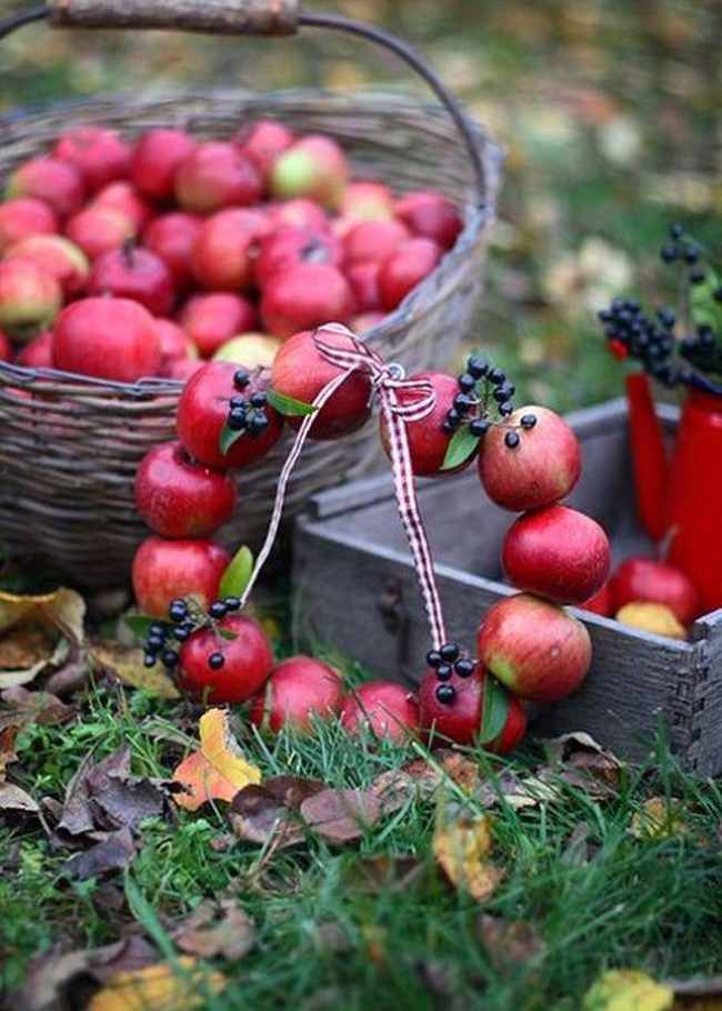 Red Apples Spilling Onto Green Grass