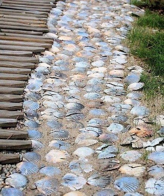 Seashell Pathway To Coastal Living