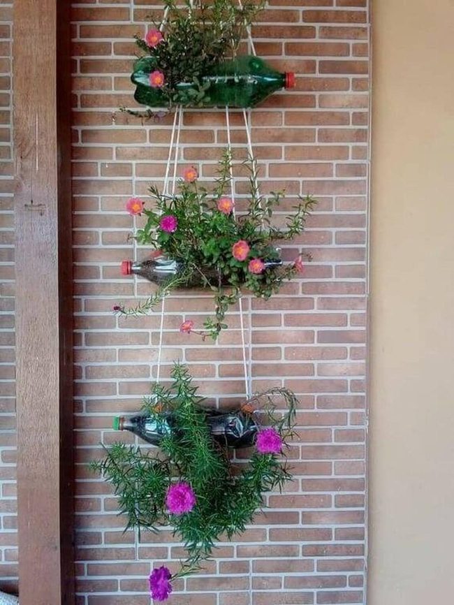 Bottle Green Living Walls