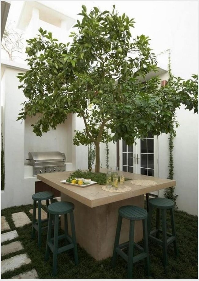 Tree Growing Through Dining Table