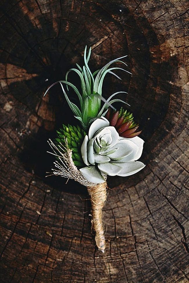 Succulent Lapel Statement Piece