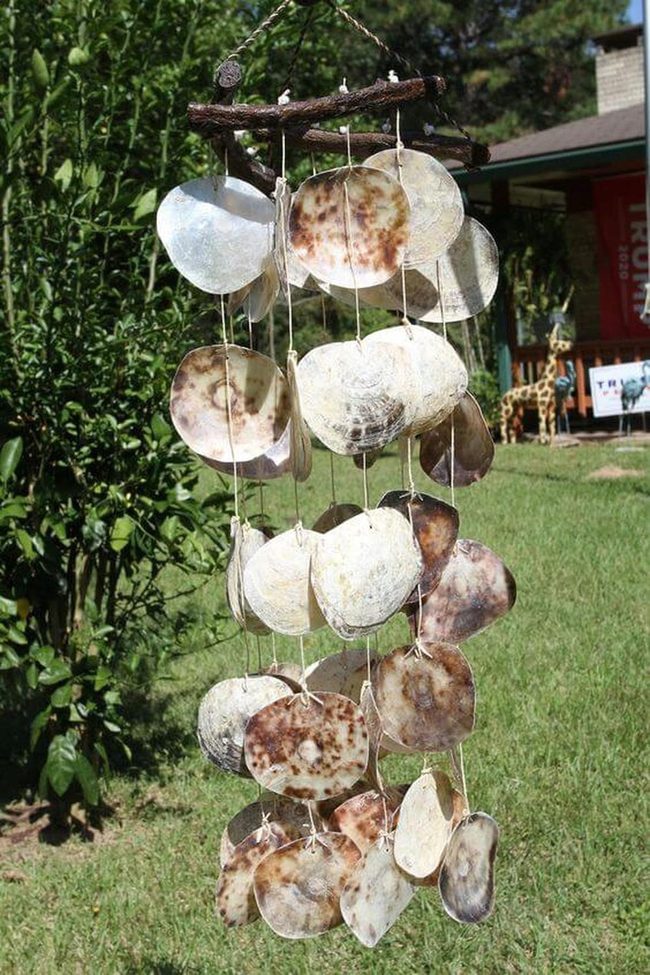 Driftwood And Seashell Mobile