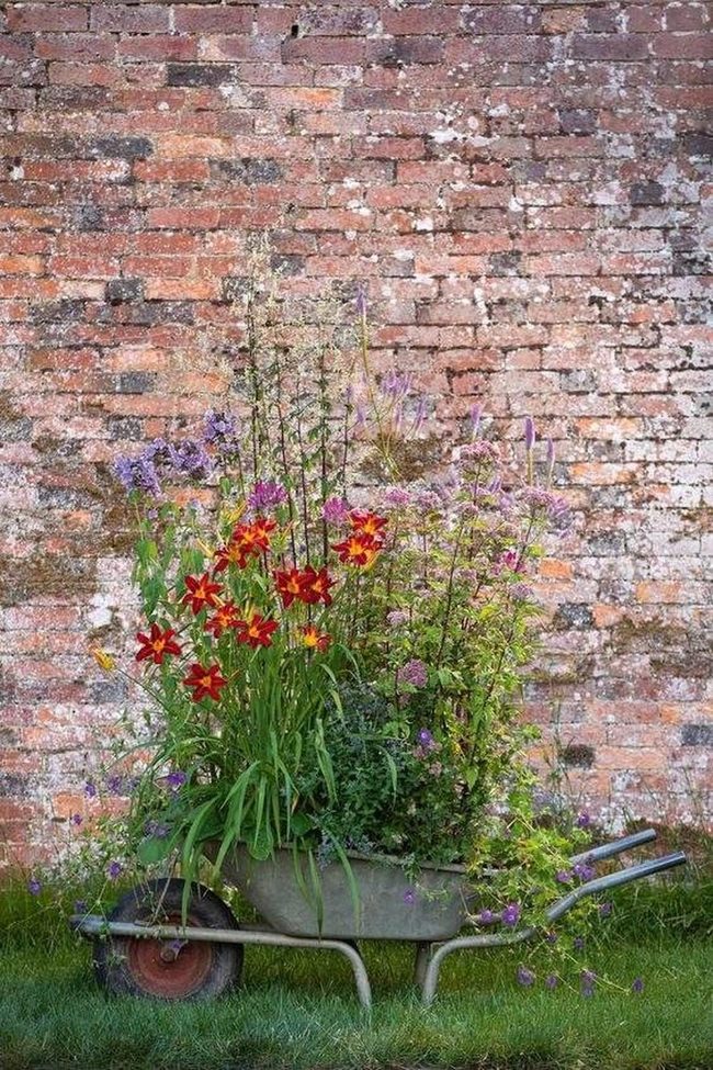 Crimson Flowers Overflowing Wheelbarrow