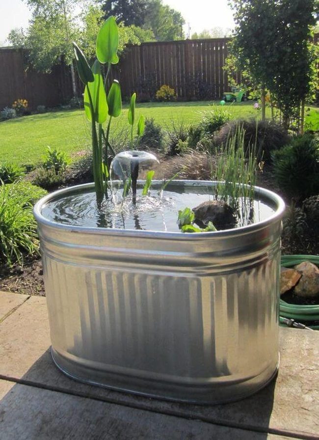 Contemporary Metal Water Basin With Aquatic Plants
