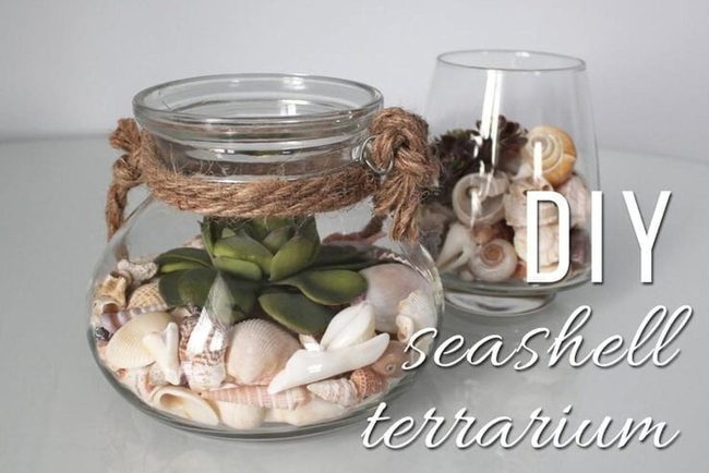 Coastal Shells And Greenery Terrarium