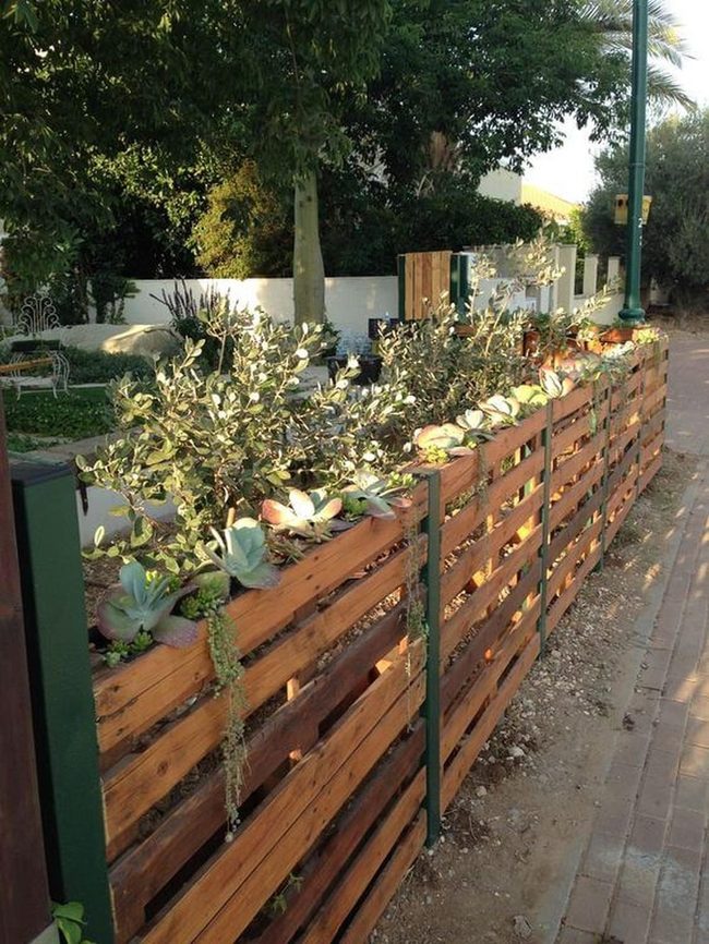 Succulent Pallet Fence Living