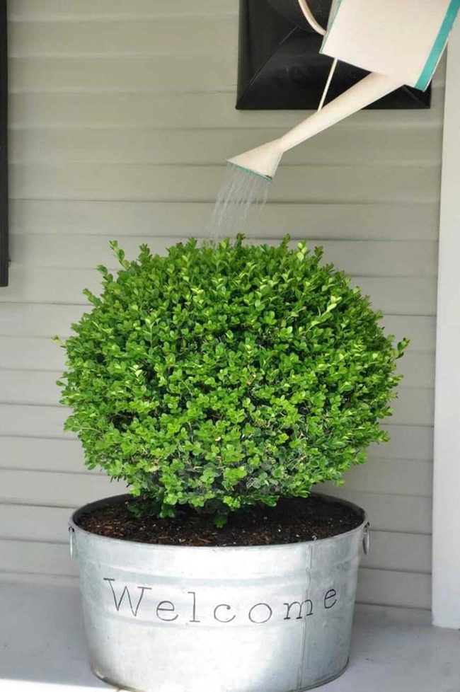 Stenciled Washtub Planter Box