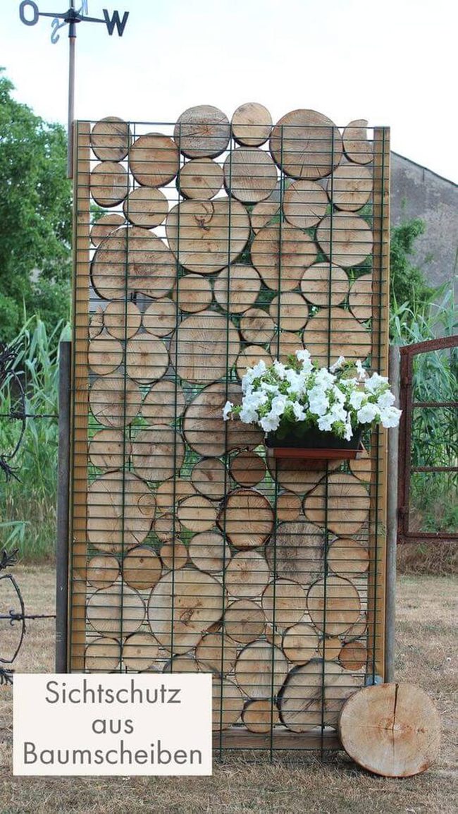 Wood Slice Screen With Living Vines