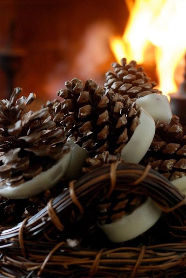 White Waxed Pinecones Natural Elegance