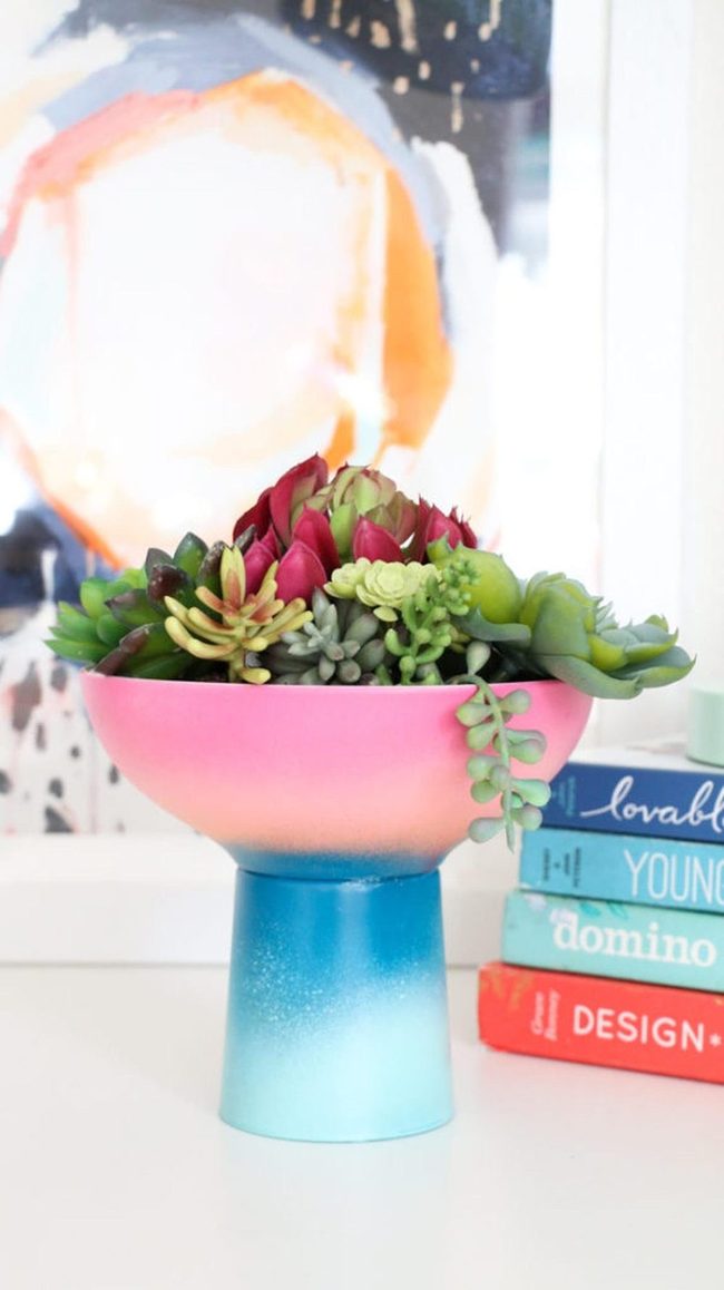 Green And Red Succulents In Pink-Blue Bowl