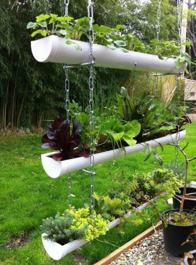 Living Wall Herb Garden