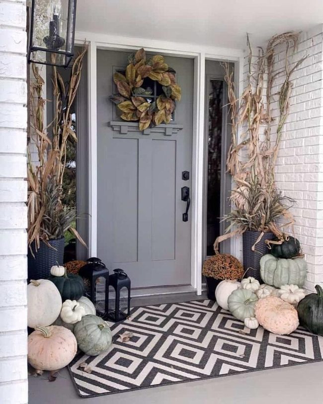 Burnt Orange and Burgundy Foliage