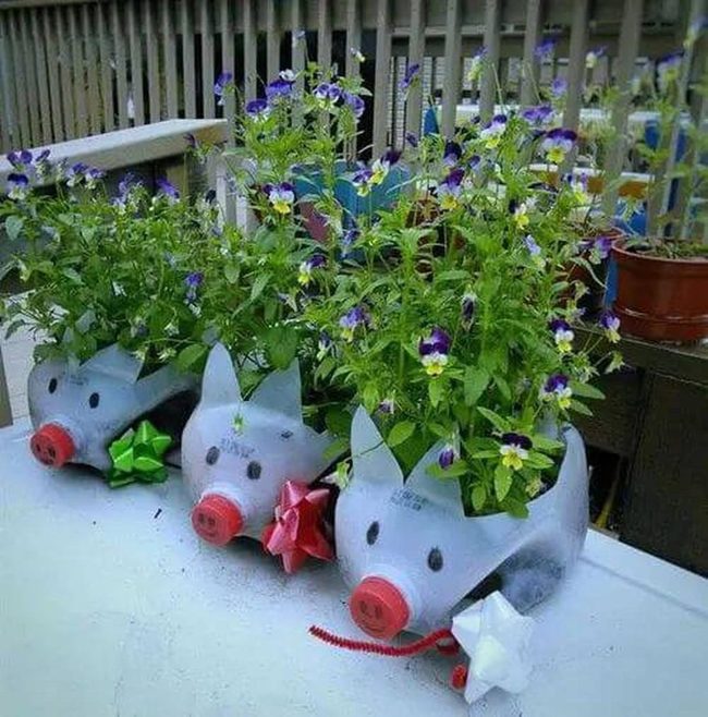 Pig Planters From Recycled Bottles