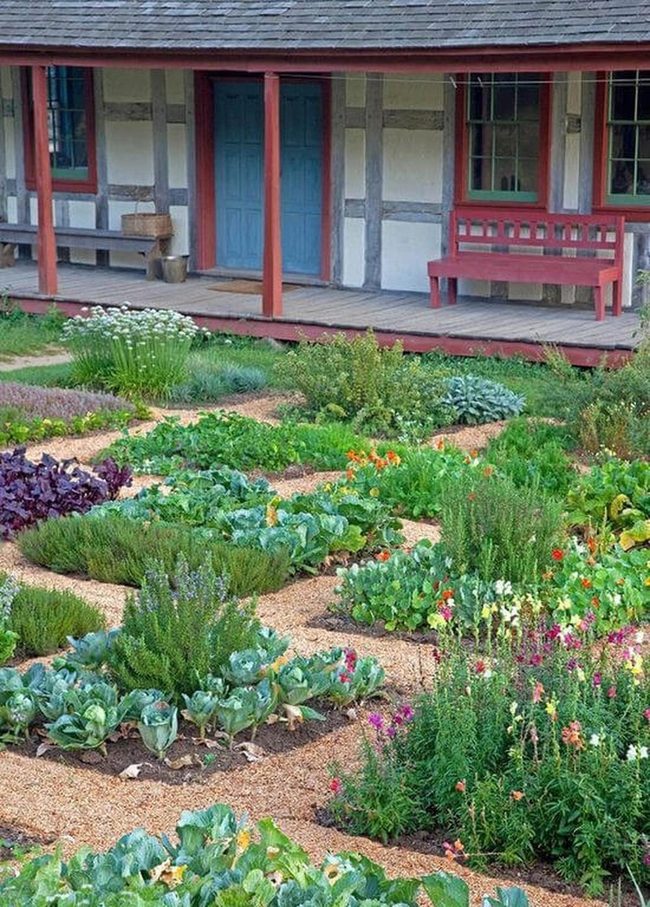 Companion Plants Grow Together