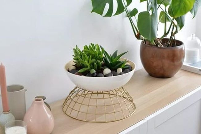 Stacked White Ceramic Plant Bowls