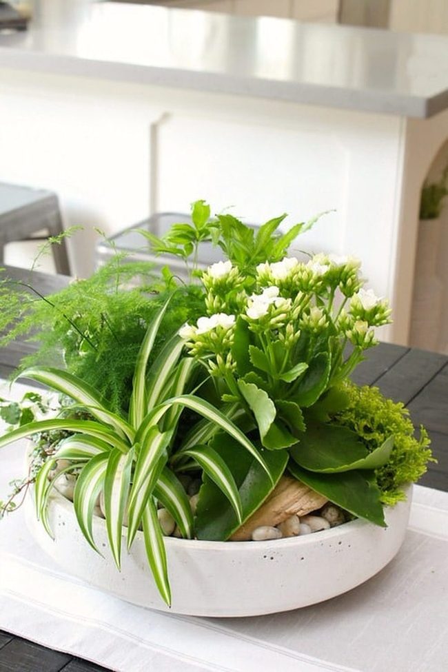 Emerald Ferns With Layered Stone