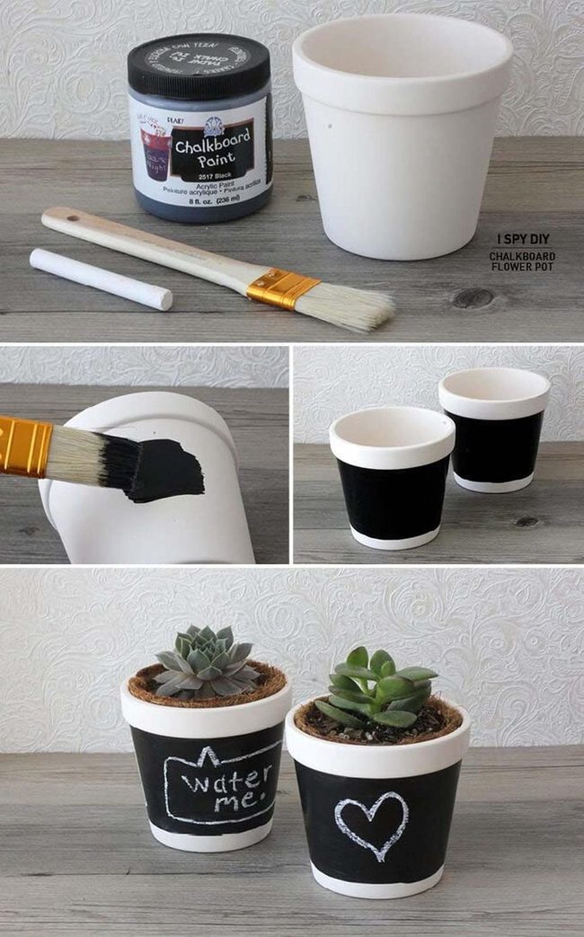 Chalkboard Succulents Write Your Own