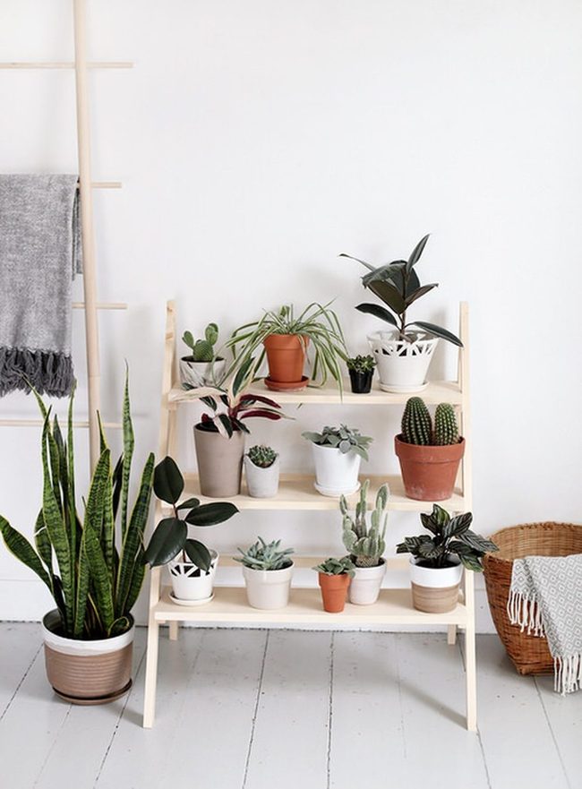 Tiered Wood Plant Shelving