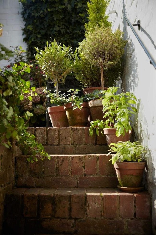 Terracotta Pots Climbing Brick Steps