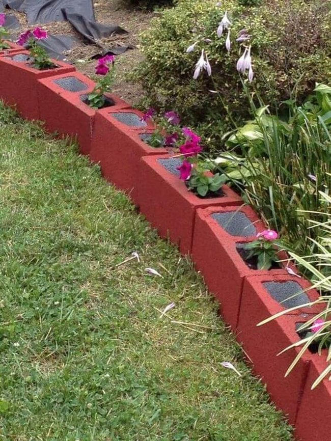 Scarlet Blocks Garden Border