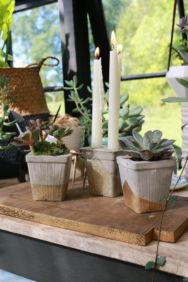 Jade Succulents With Gold Ceramic