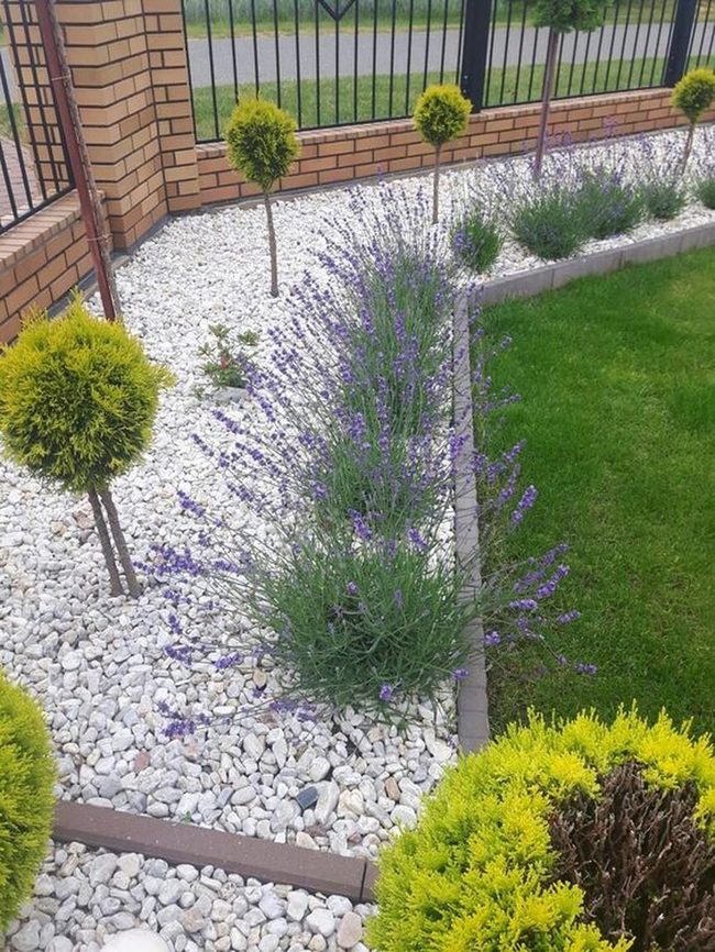 Purple Blooms Green Garden Formal Balance