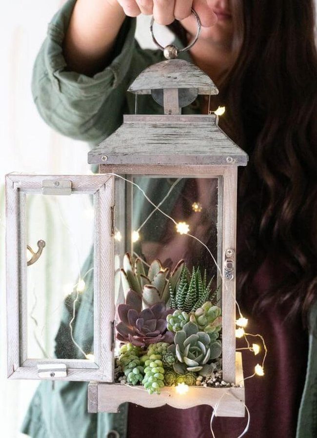Lantern With Purple And Green Succulents