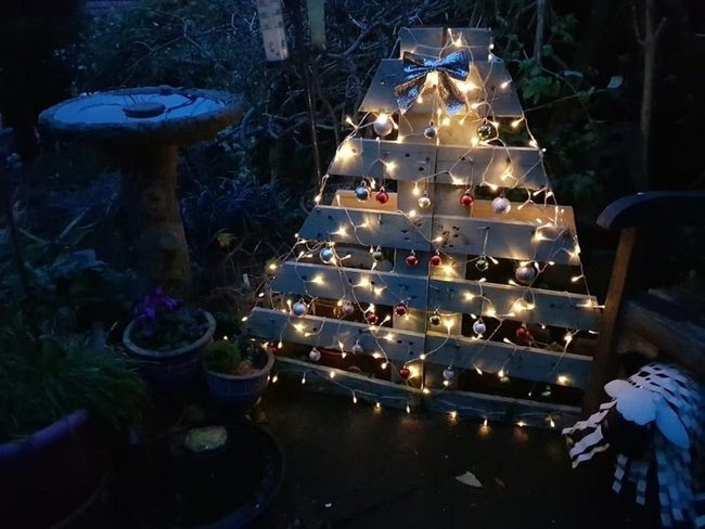 Wooden Trees With Warm Lights