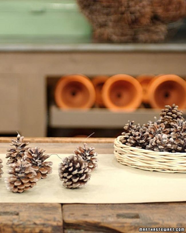 Brown Wood And Pinecone Stillness