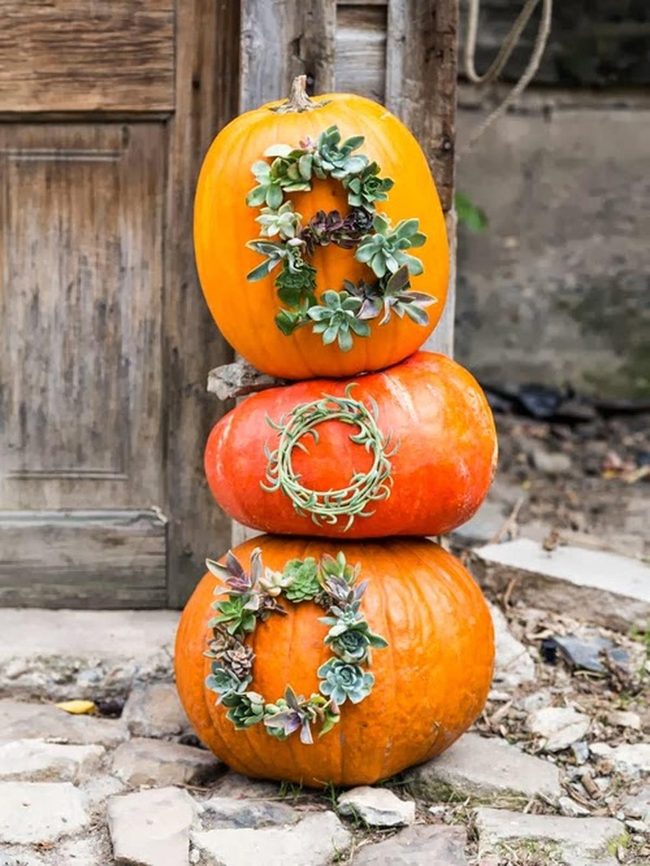 Stacked Pumpkins With Succulent Wreaths