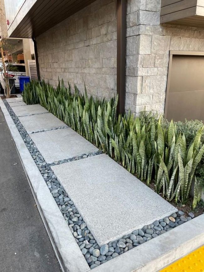 Green Plants Meet Gray Stone