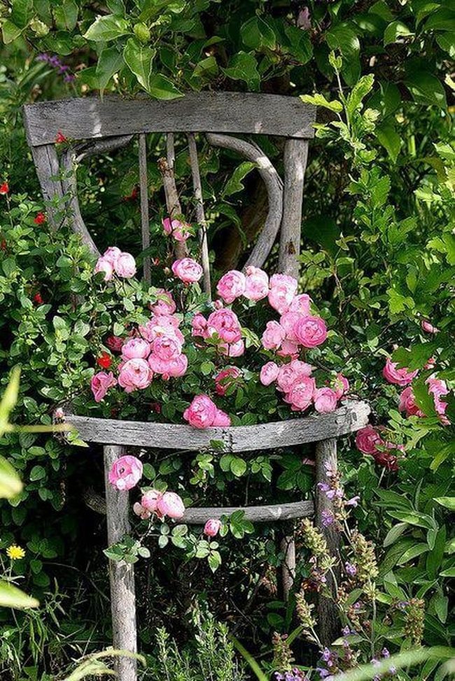 Vintage Chair Pink Rose Garden