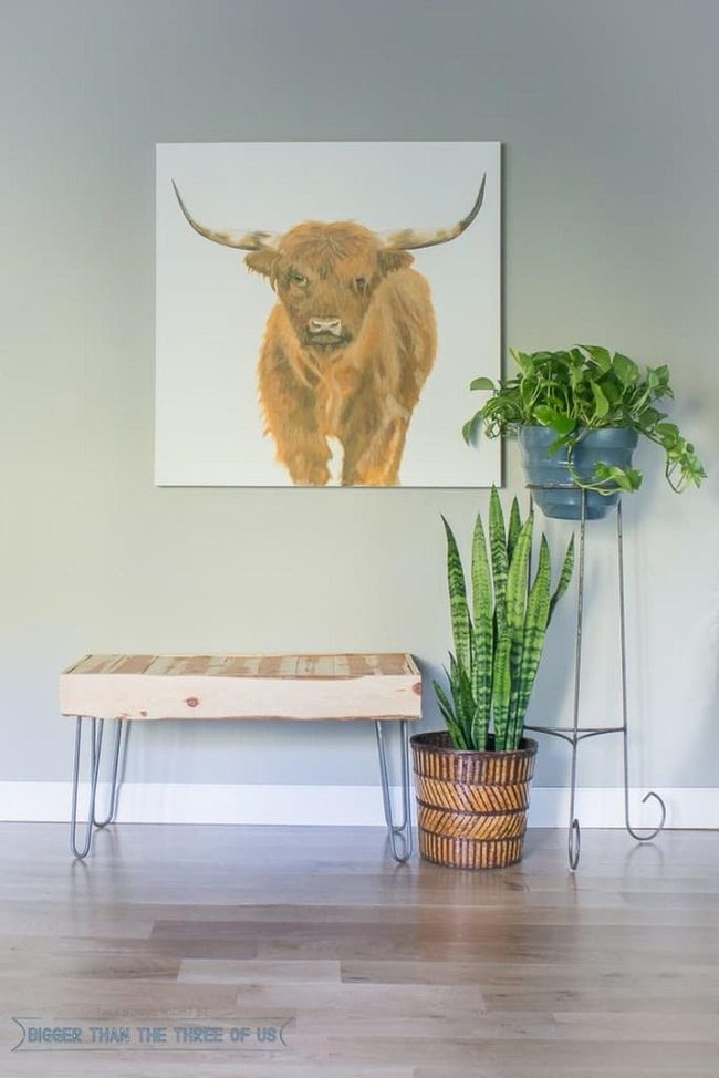 Green Walls Brown Bull Metal Legs