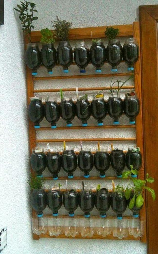 Living Walls Of Green Glass