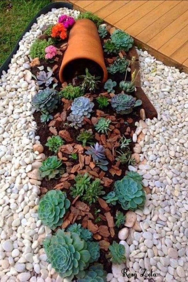 Stone Succulents Garden Palette