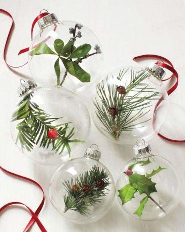 Clear Glass Filled With Forest Treasures